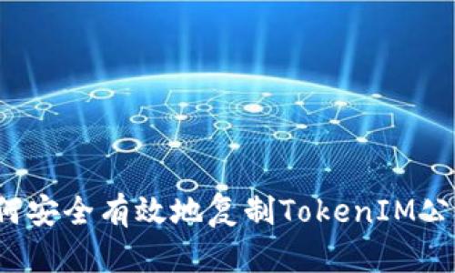 如何安全有效地复制TokenIM公钥？