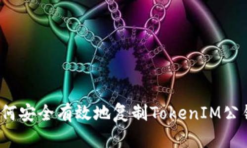 如何安全有效地复制TokenIM公钥？