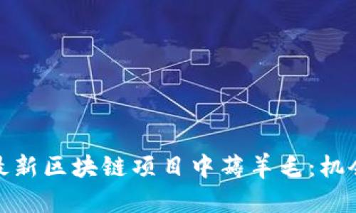 如何从最新区块链项目中薅羊毛：机会与策略