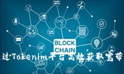 如何通过Tokenim平台高效获取宽带和流量