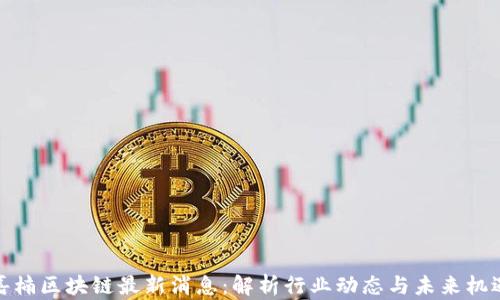 
嘉楠区块链最新消息：解析行业动态与未来机遇