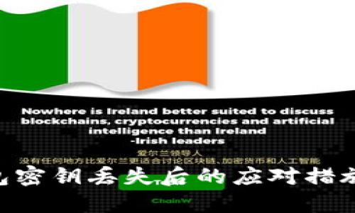 Tokenim钱包密钥丢失后的应对措施与解决方案