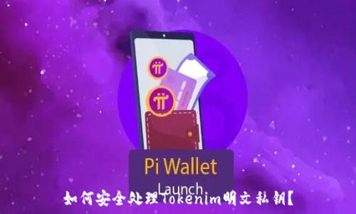  
如何安全处理Tokenim明文私钥？