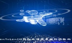 解决TokenTokenIM钱包无法登录国外网络的详细指南